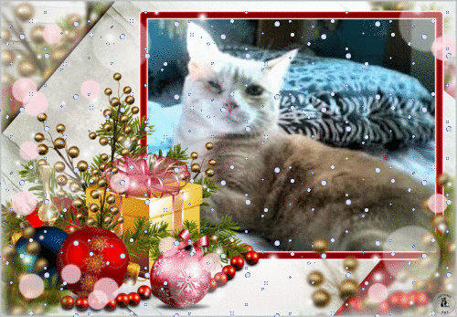 paty-roucky-dec-2023