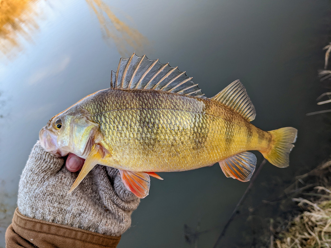 PXL_20211220_203518218.MP~2