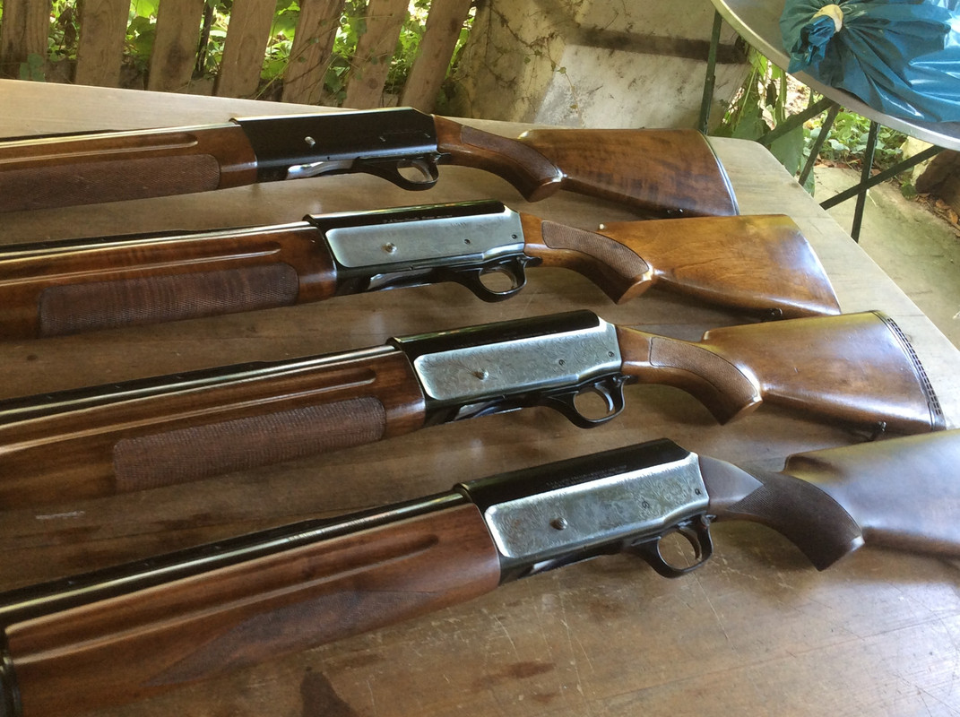 C76897D5-97C3-44DB-BF65-C7E247A39338