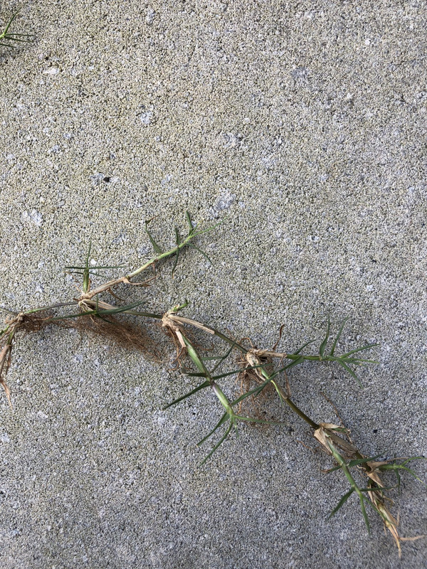 16B668C8-EE0C-4515-B949-2248294B063A