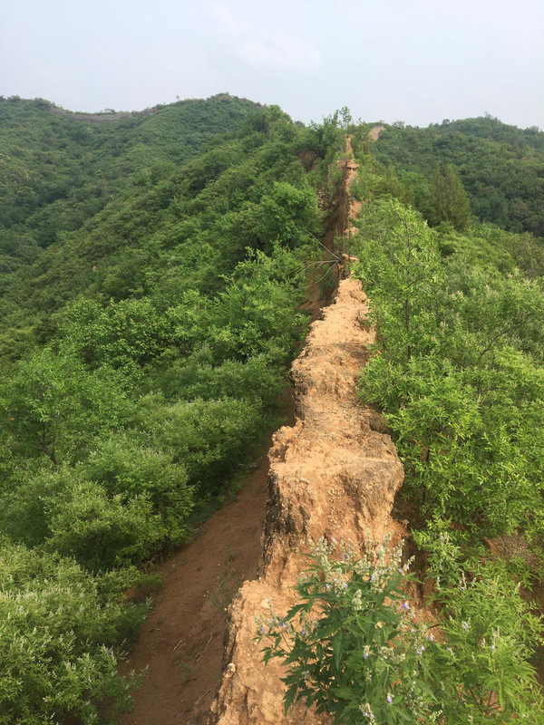 Día 16. La gran muralla. Jinshanling - China en tren Junio 2025 (5)