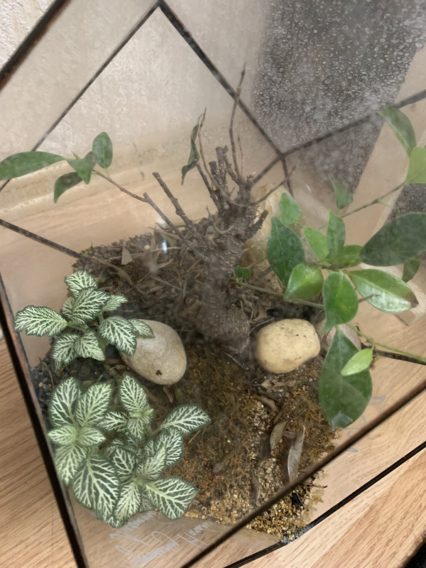 631B7F66-9DDF-42BE-ABBB-C72A33F352FC