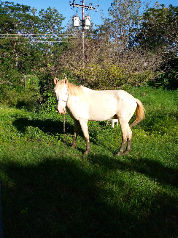 Friends Gathering at the Pool