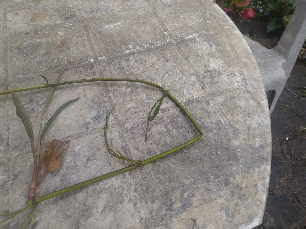 IMG_20240501_105940841