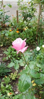 IMG_20230527_082314