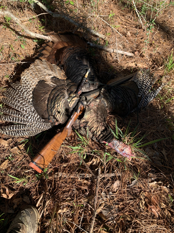 0D4C3E2A-BA21-487F-956C-65617B50D284