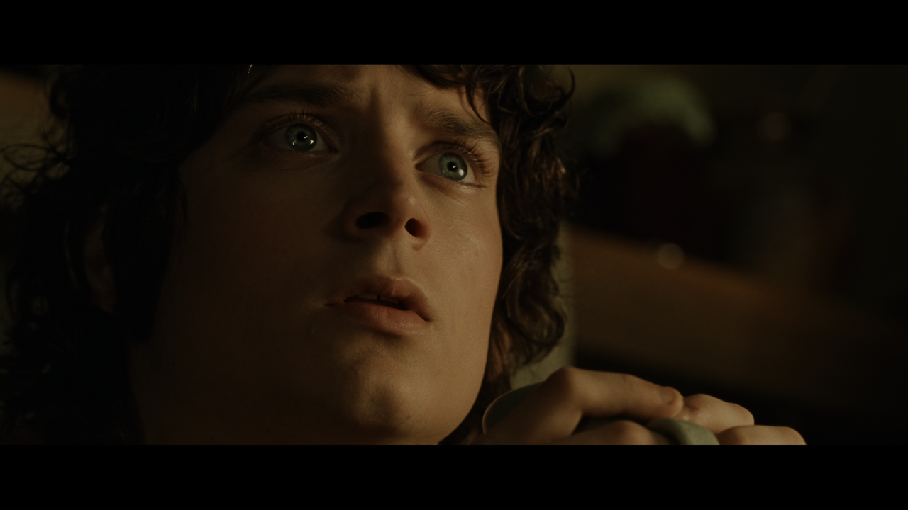 The Lord of the Rings- The Fellowship of the Ring (EXT.) PT. 1.mkv_snapshot_00.38.17_[2020.12.05_22.