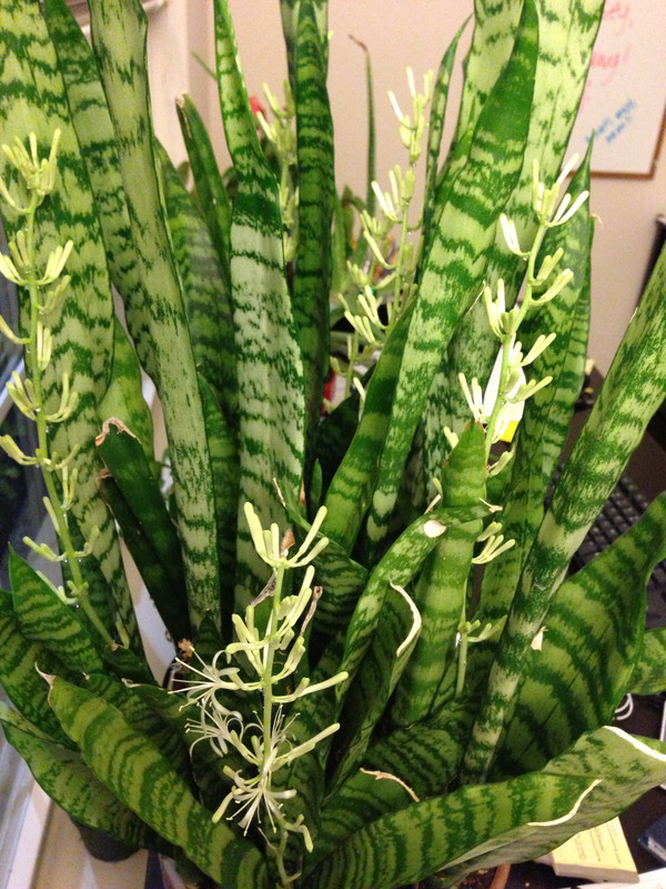 112ECF6A-D586-4177-90AD-13BE22C04F1F