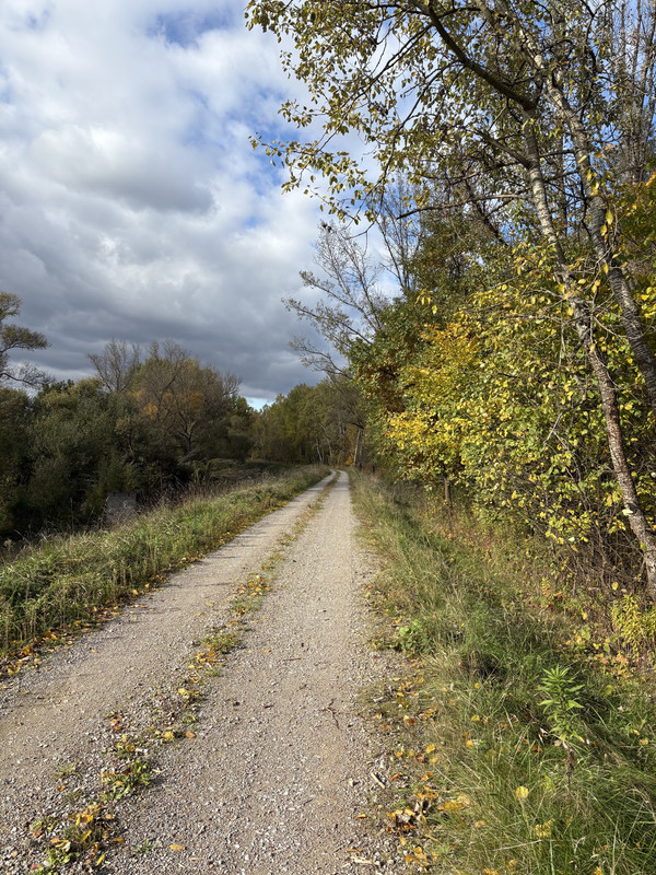 [Obrazek: IMG-0556.jpg]