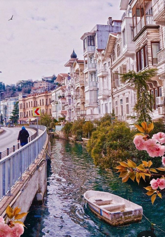 Screenshot_20240425_222139_Pinterest