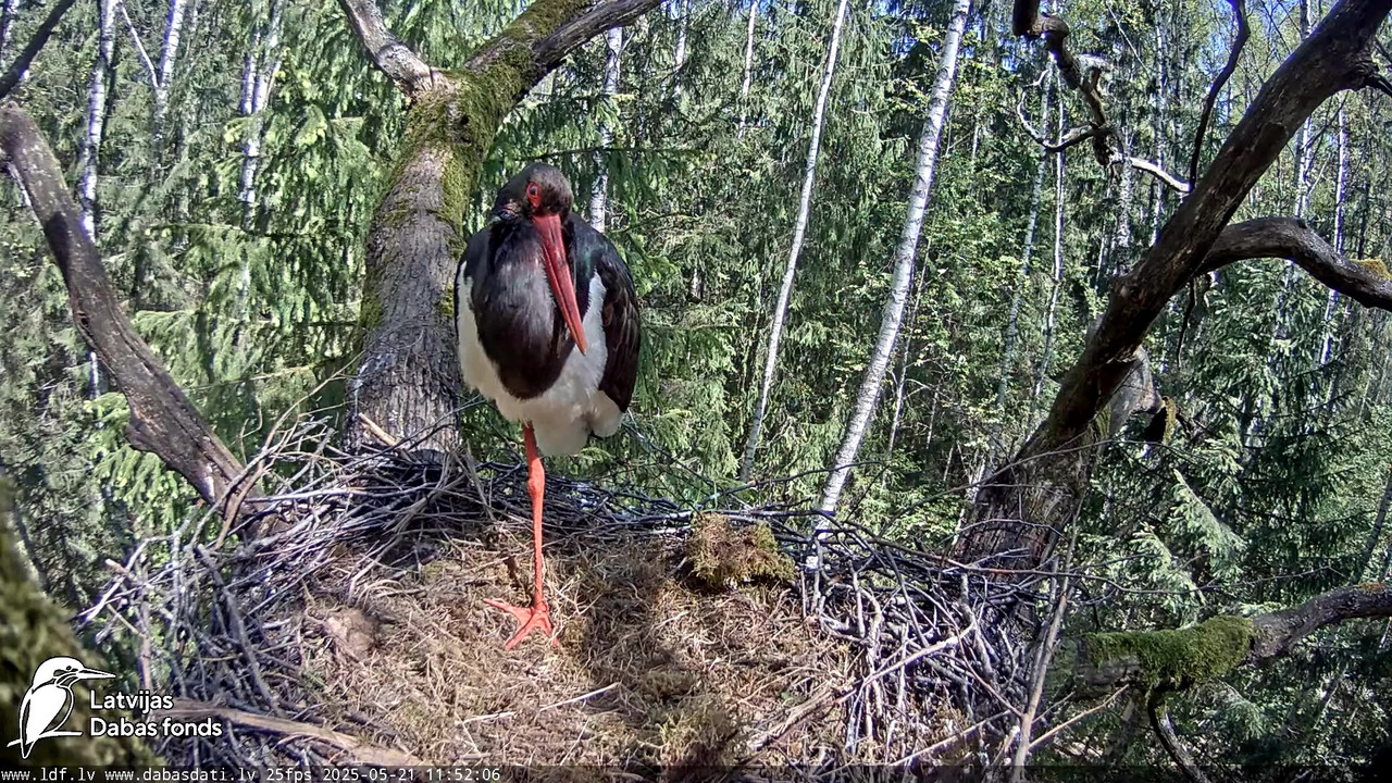 vlcsnap-2025-05-22-08h14m35s238