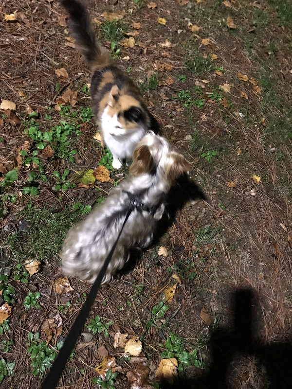 5B781052-617B-463A-8AC8-A544523570A0