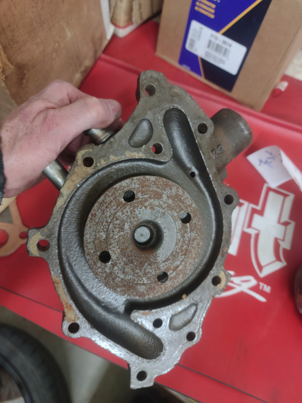 IMG_20241114_173313639