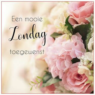 8a7e11e62aaee68c55263db7e47e8168