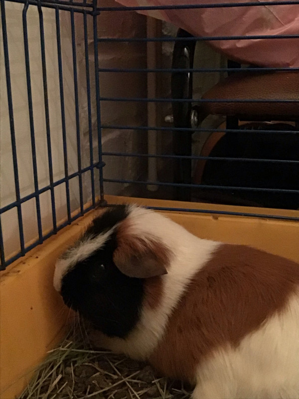 AD282D74-6B35-4989-9FD3-F77B4F46954B