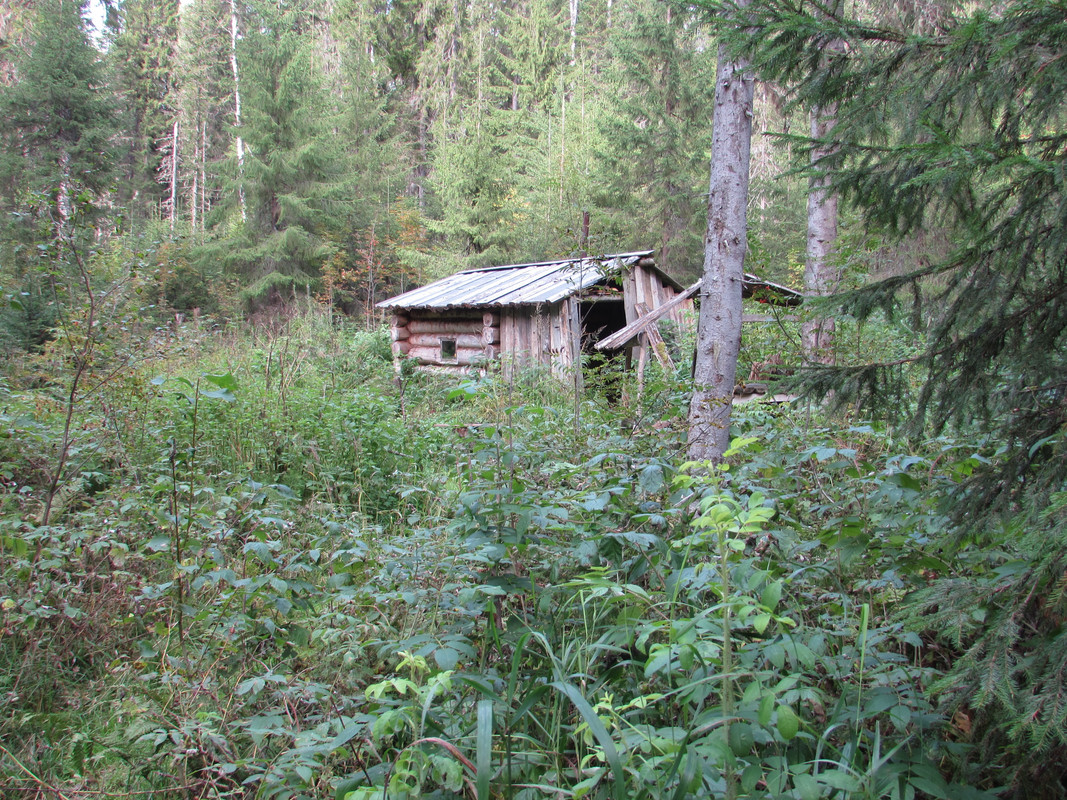 Тёплая избушка