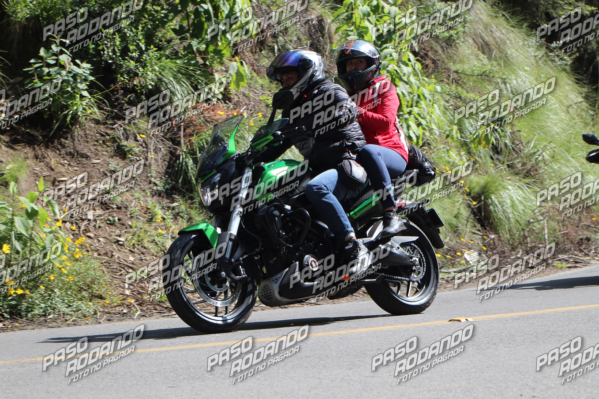 IMG 5651 wm 45219 5 watermarked — Postimages