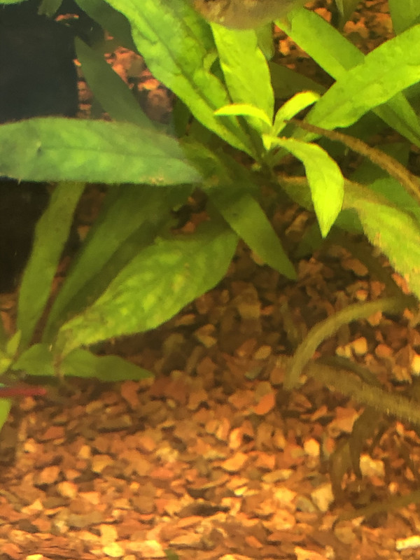 CEAAA31F-8133-44BE-9C0A-E38690D726D6