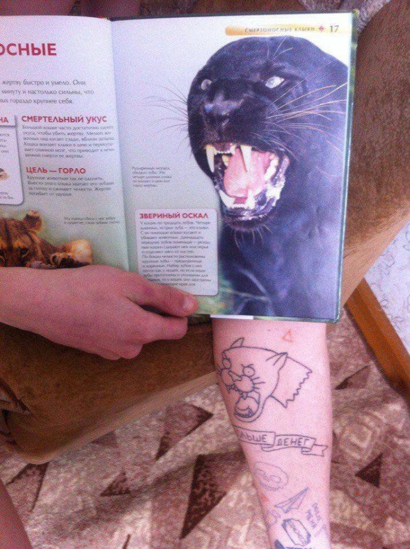 thumbs-EMOK-Picdump-708-032.jpg