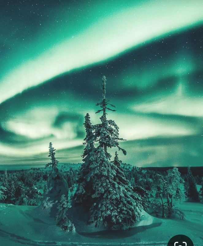 Screenshot_20230404_225011_Pinterest