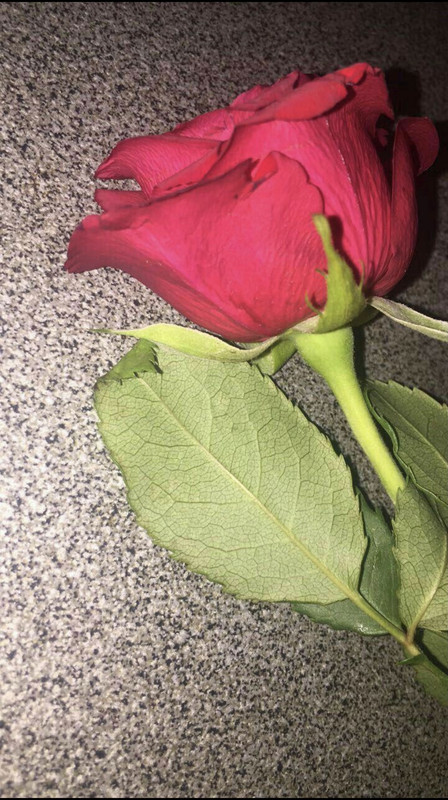 BC26AB41-0BB8-41FA-845F-61F30C6DAEE0