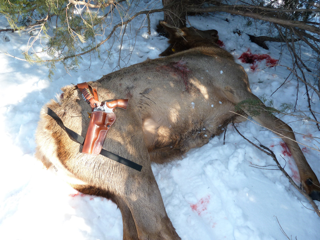 8C1547C6-0E64-4EC4-A6AC-CD672B685B10