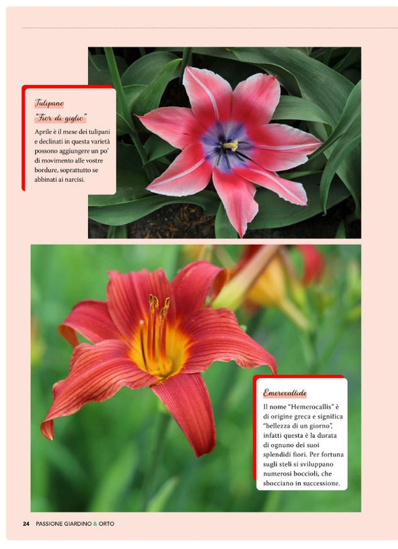 Pass Giar e Orto Apr-Mag 2025 (1)