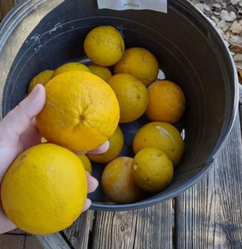 Screenshot 20251114 202238 567