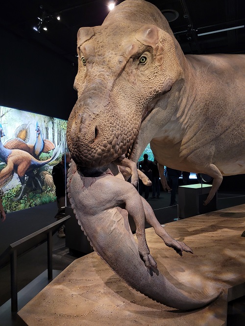 5E80F3FB-5D33-45DE-9FBD-B2A9924F9C21