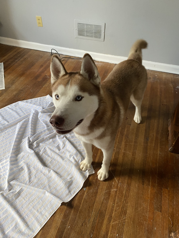 A5E62309-15E1-426A-9909-5C654AABB7DE