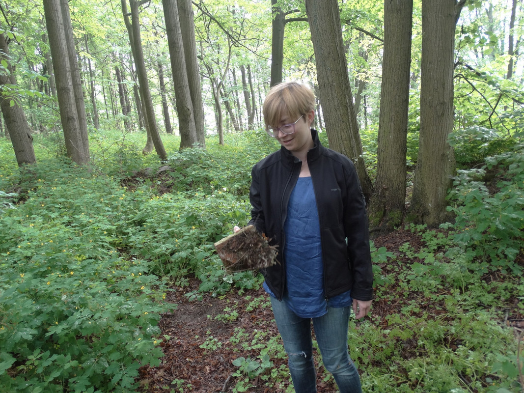 22 - DSC04037 (Czesio1)