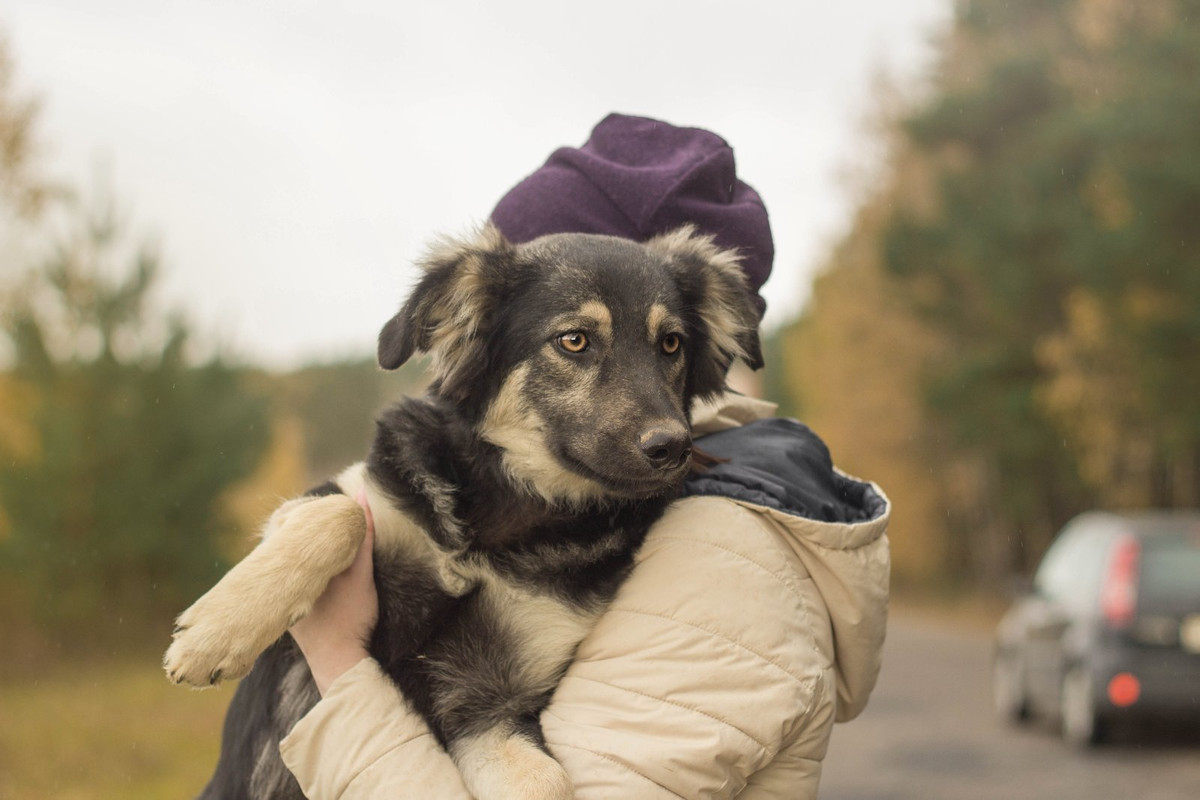 изображение_viber_2022-01-15_16-46-48-356