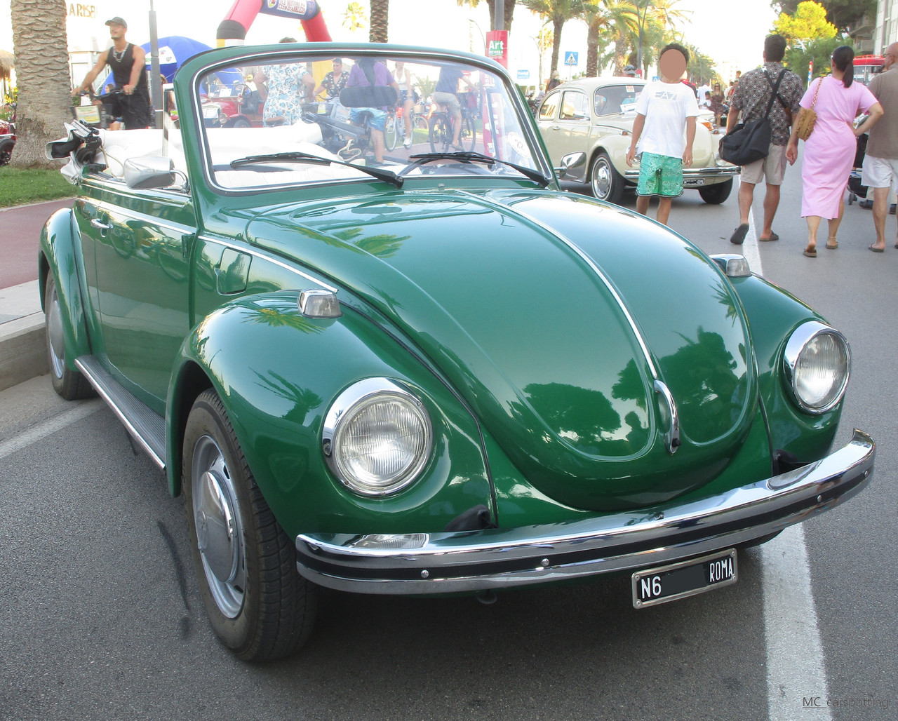 IMG-8977.jpg