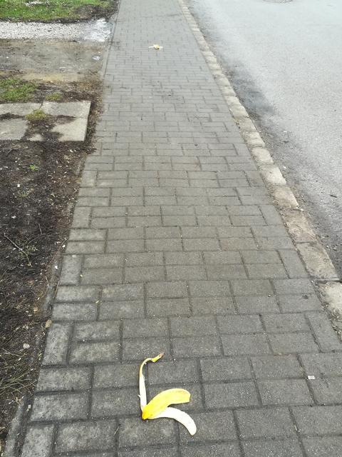 Kép