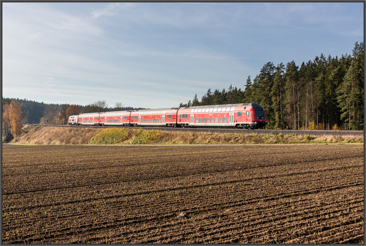 20241103-_M7A3147