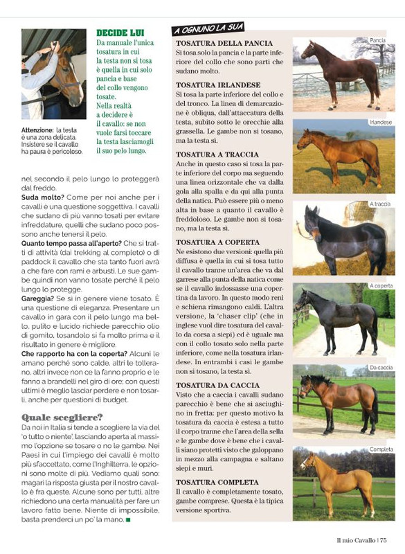 Il Mio Cav (Nov 2021) 8