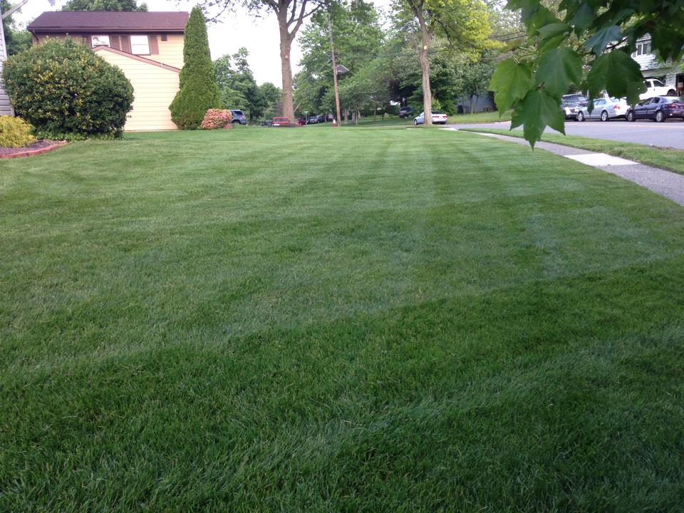 10419066_10152420738843704_6965843769690017347_n