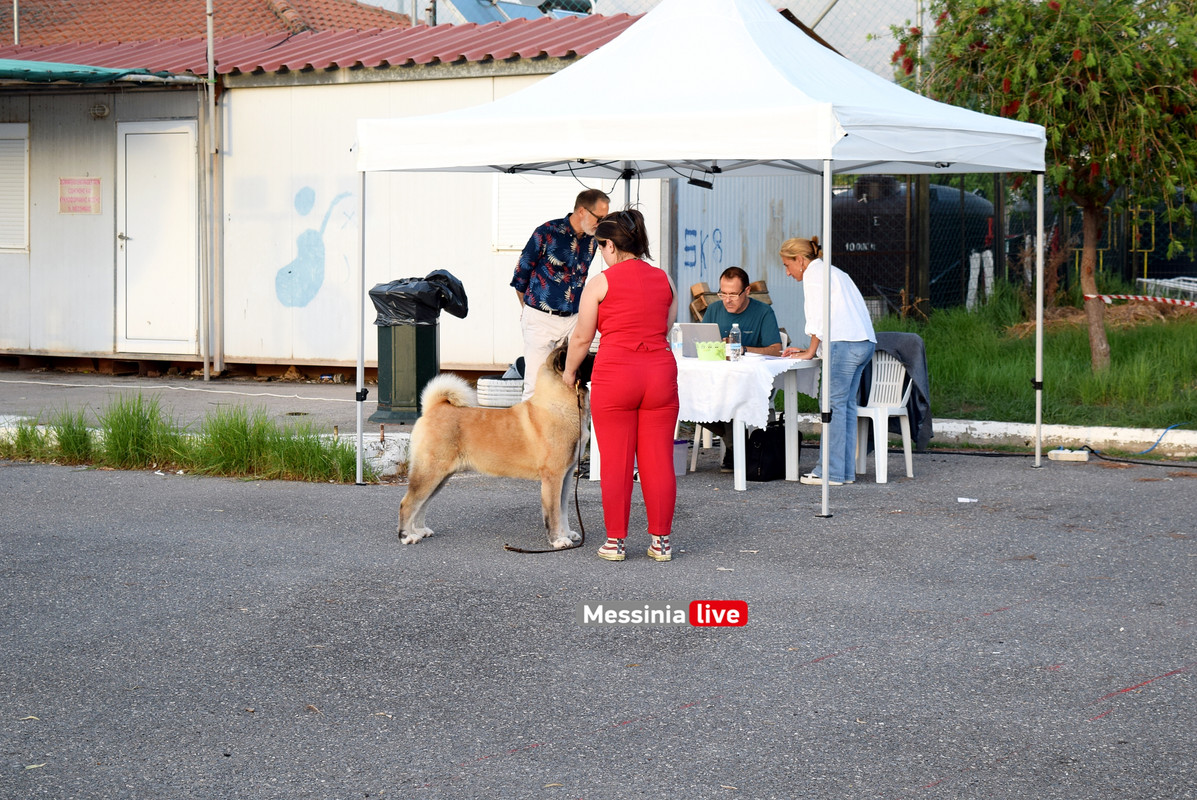 παρκο σκυλιαDSC_0943