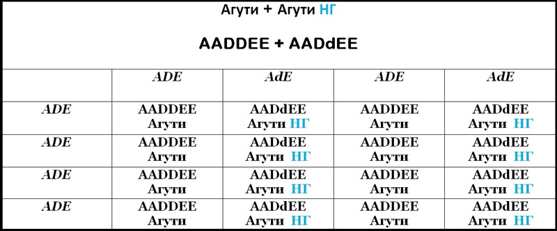 Таблица 6