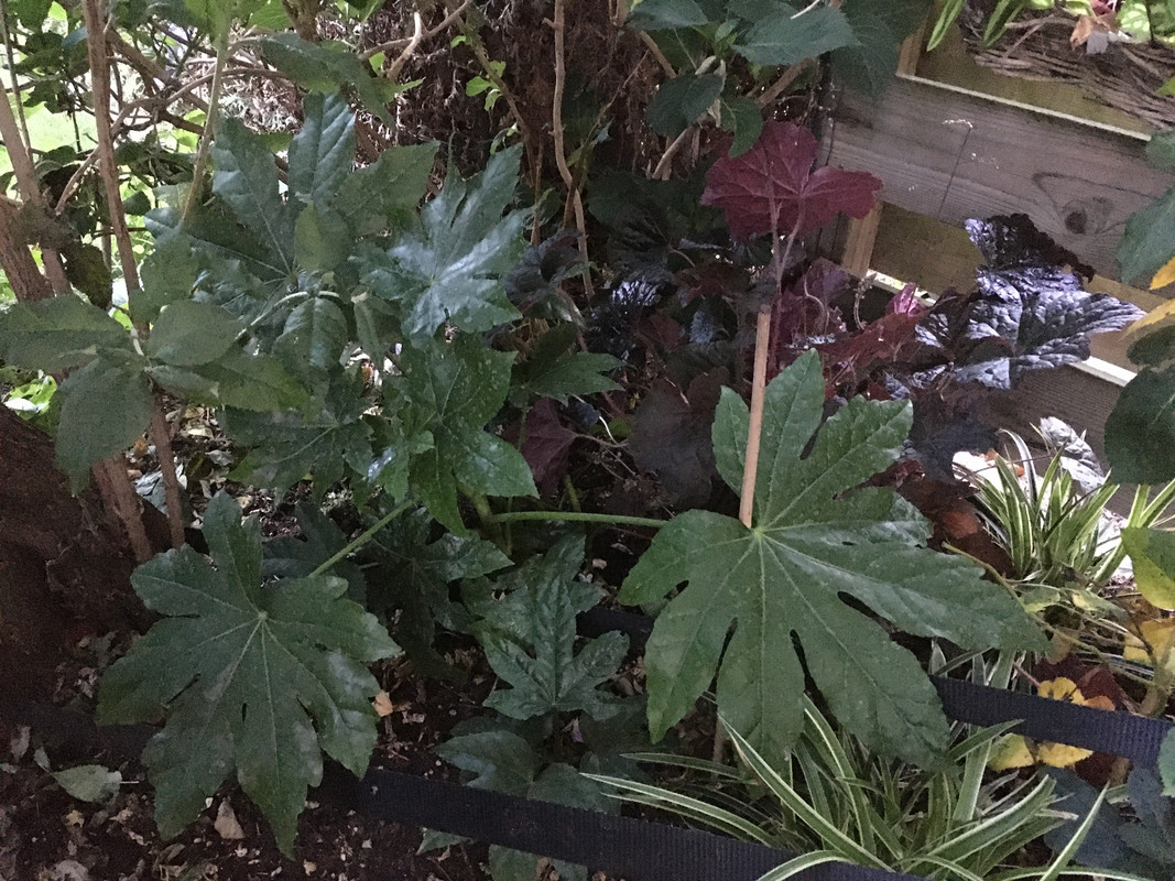 9432195E-E2E3-4FF3-845C-F0C74FDC17B9