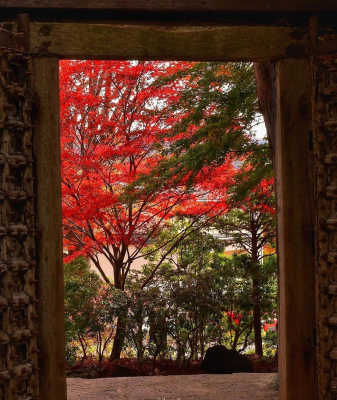 Screenshot_20231127_235926_Instagram