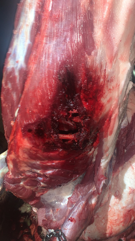 423816E5-01D4-4F0E-9247-01C5D6174792