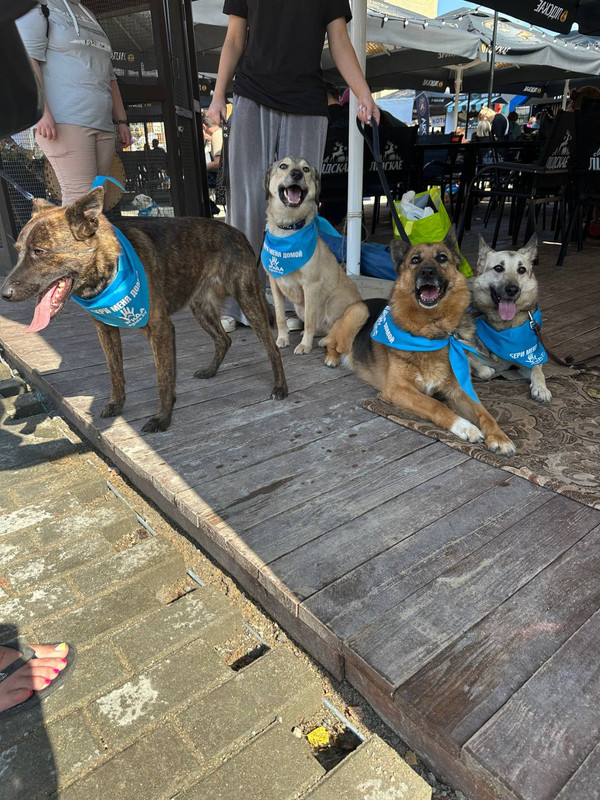 IMG_20250816_232159_387