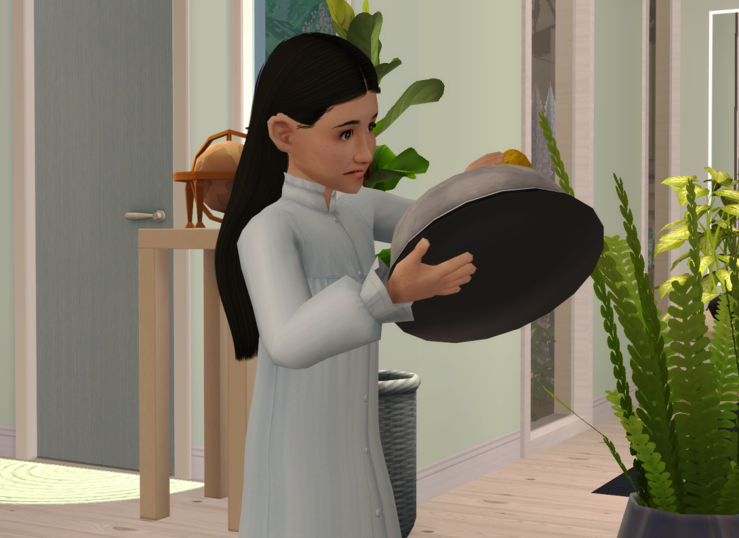 Sims2-EP9-RPC-2023-06-04-11-25-30-22