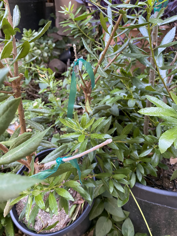 6658B9E3-0AC5-4543-9555-DE5BA7464C6C