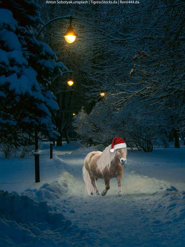doryschristmaspiece.jpg