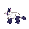 rabbit-m-himalayan-purple.gif