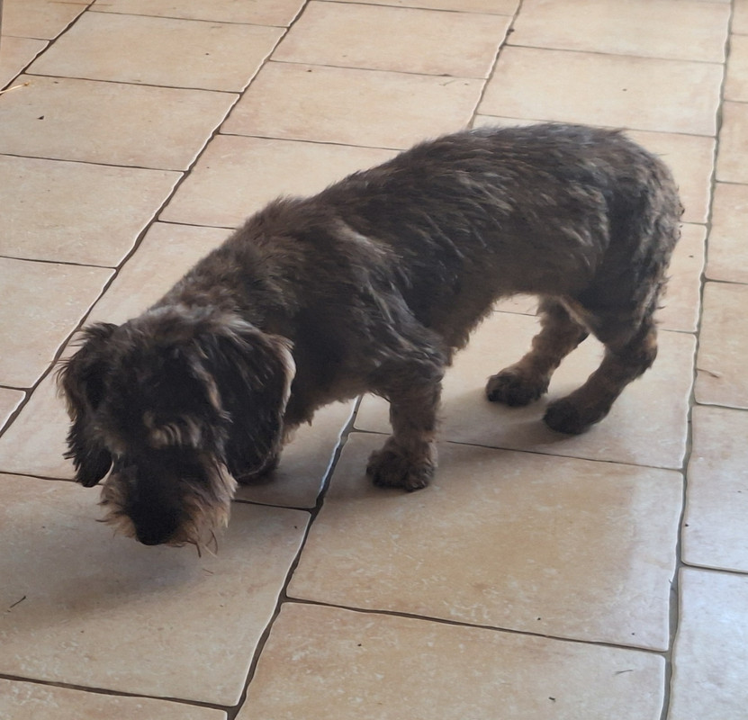 [Image: 20250529-095252.jpg]