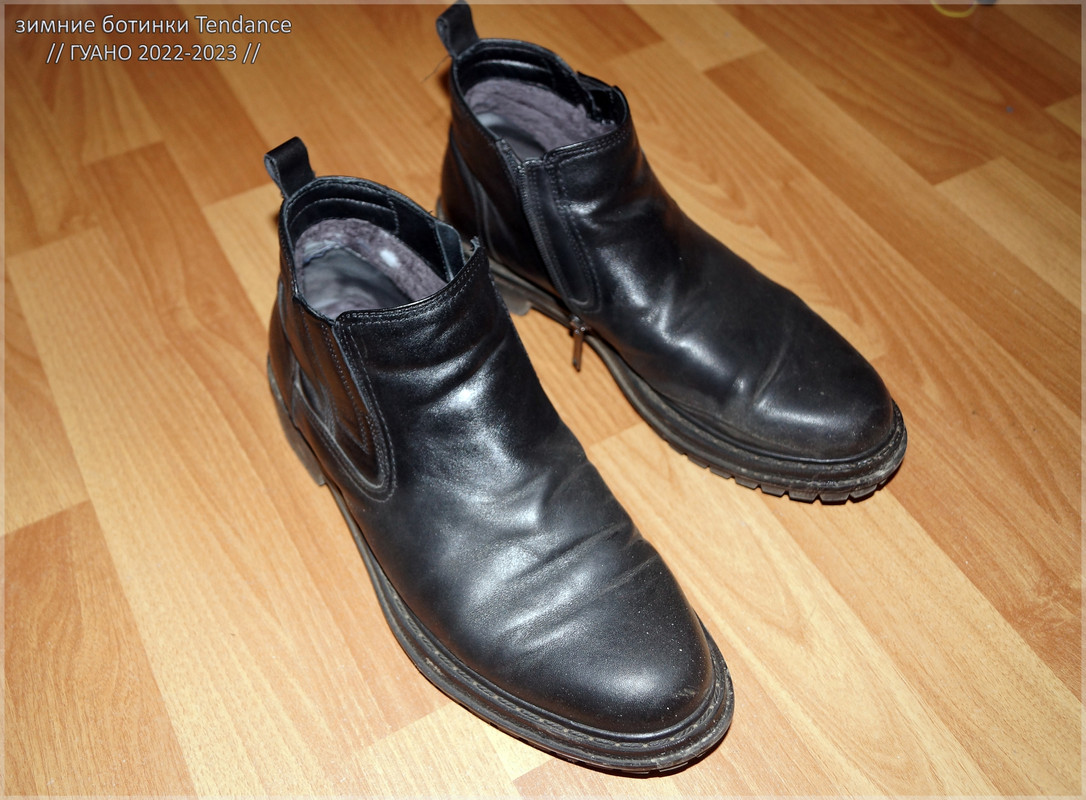 Tendance-govno2022_05