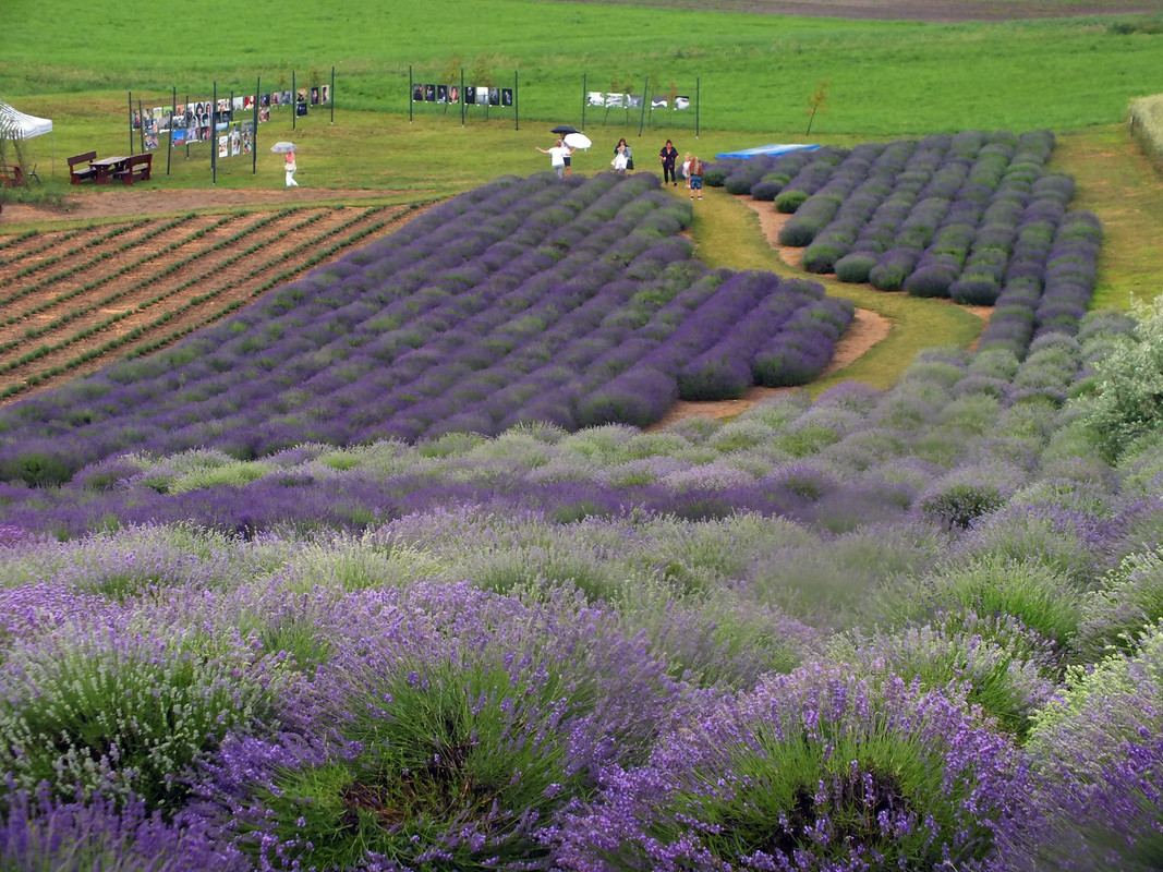 2019_0621OSTRÓW_fuji0096